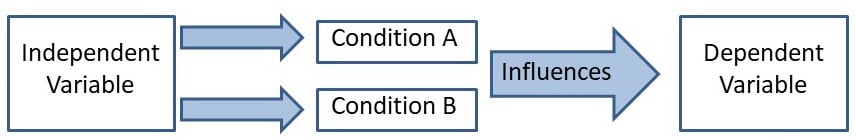 Independent and Dependent Variables 1 variables2
