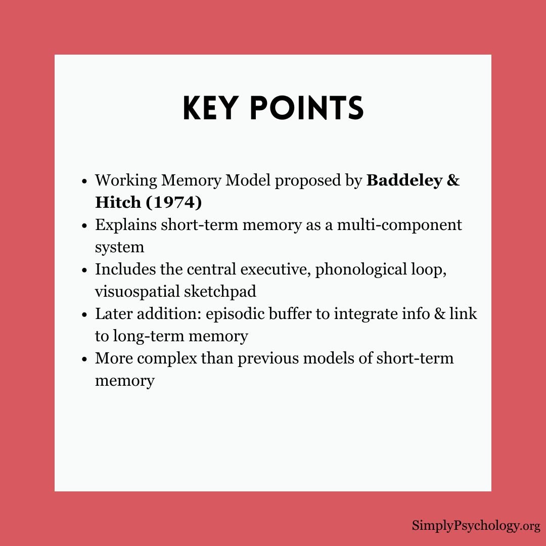 working-memory-model (1) working memory model 1