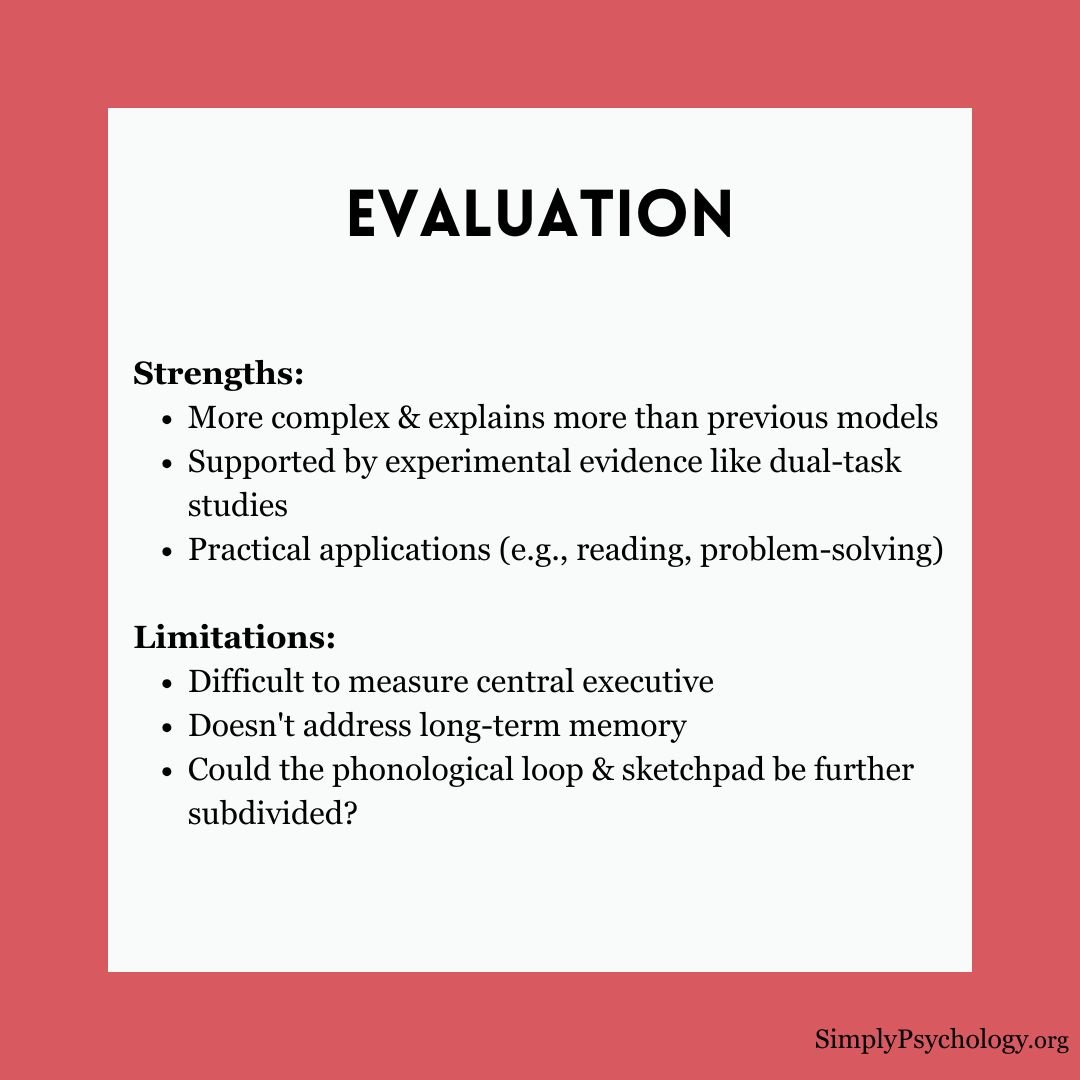 working-memory-model (6) working memory model 6