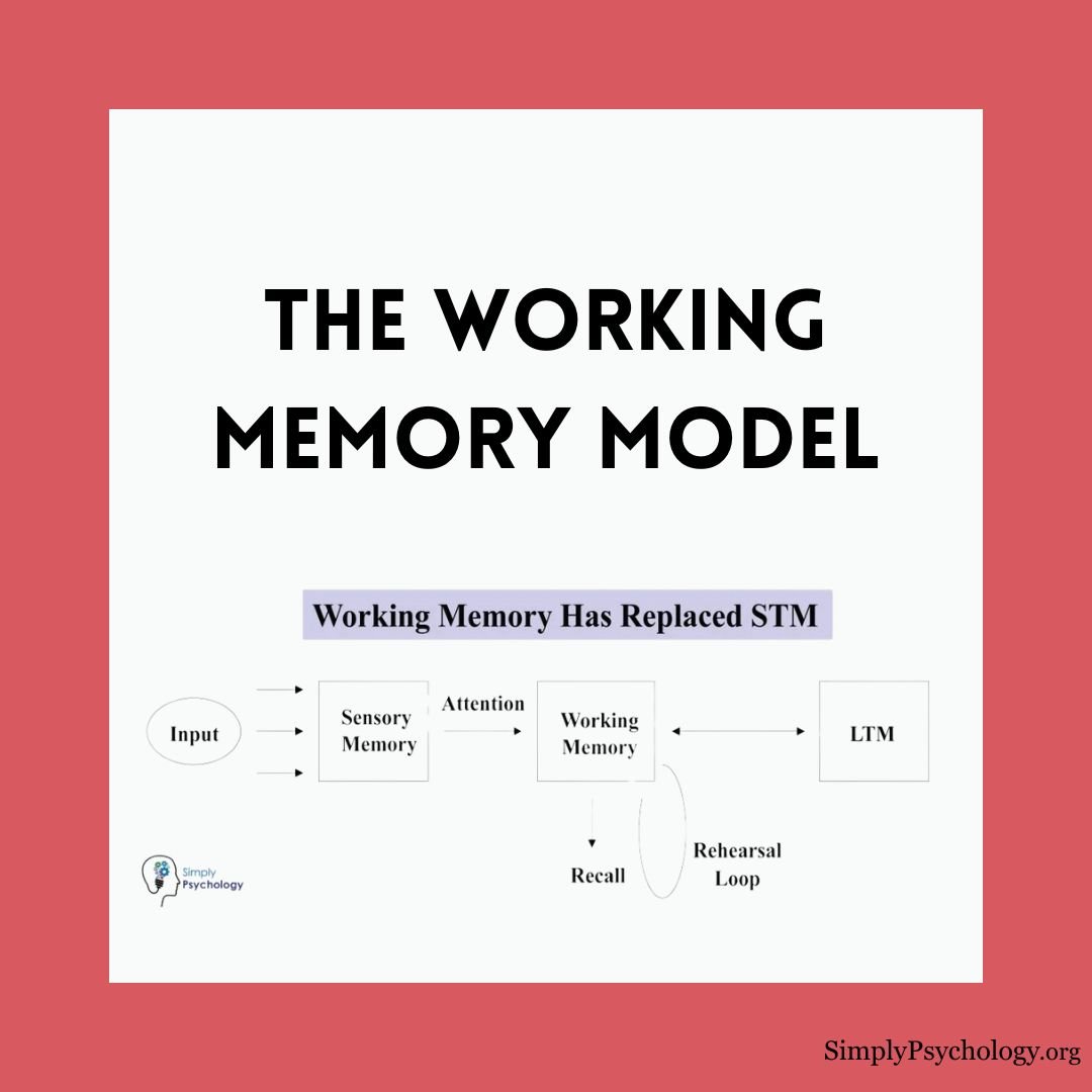 working-memory-model working memory model 7