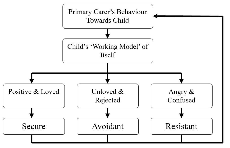 Mary Ainsworth: Strange Situation Experiment 3 attachment styles