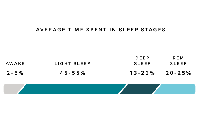 5 Stages of Sleep (REM and Non-REM Sleep Cycles) 3 Average-Time-Spent-in-Sleep-Stages