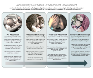 Stages of Attachment Identified by John Bowlby And Schaffer & Emerson (1964) 11 bowlby attachment phases