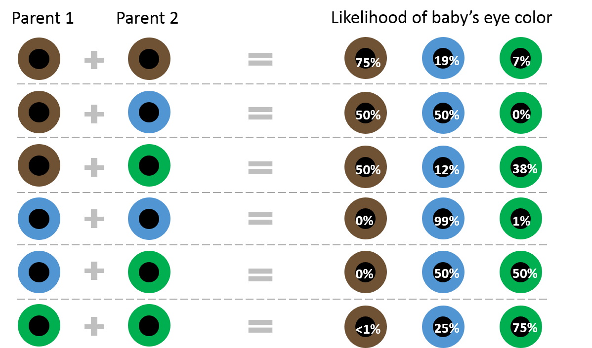 Nature vs. Nurture Debate In Psychology 2 eye color genetics