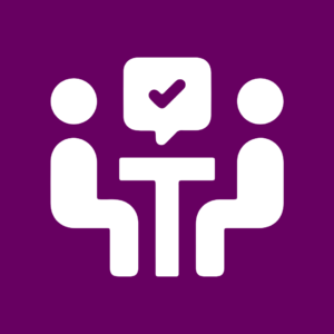 Synthesized Member Checking 23 member checking